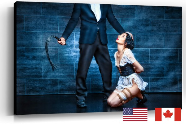 Housemaid and Whip, USA