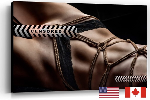 Crotch Rope, Lingerie, USA