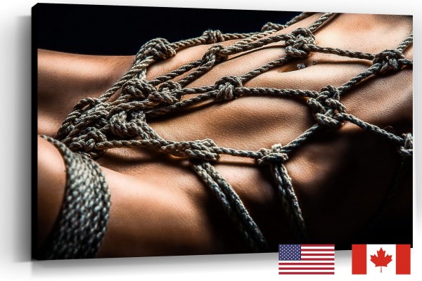 Rope Harness Closeup, USA