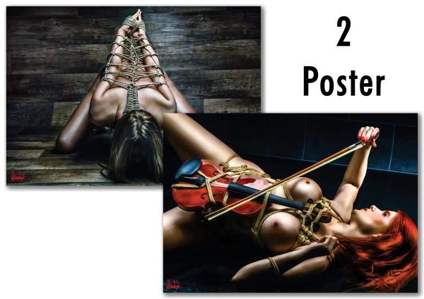 Poster 02 - Dragonfly - Violin Play